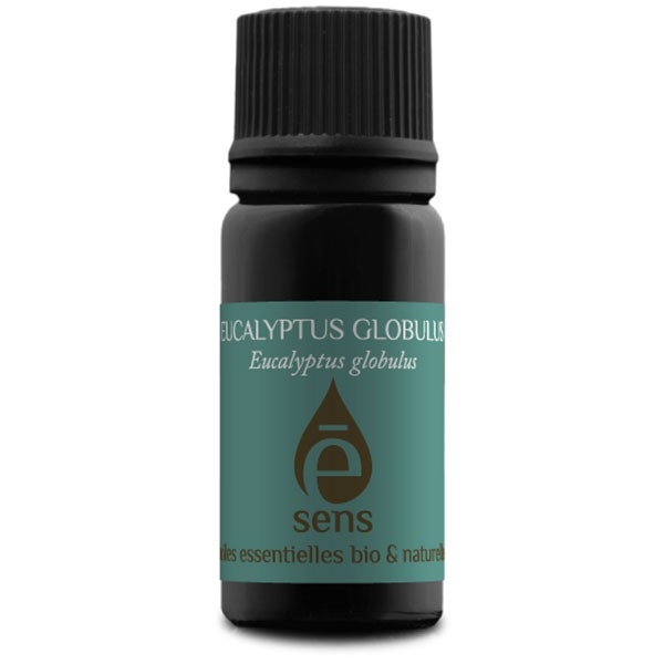 huile-essentielle-eucalyptus-globulus